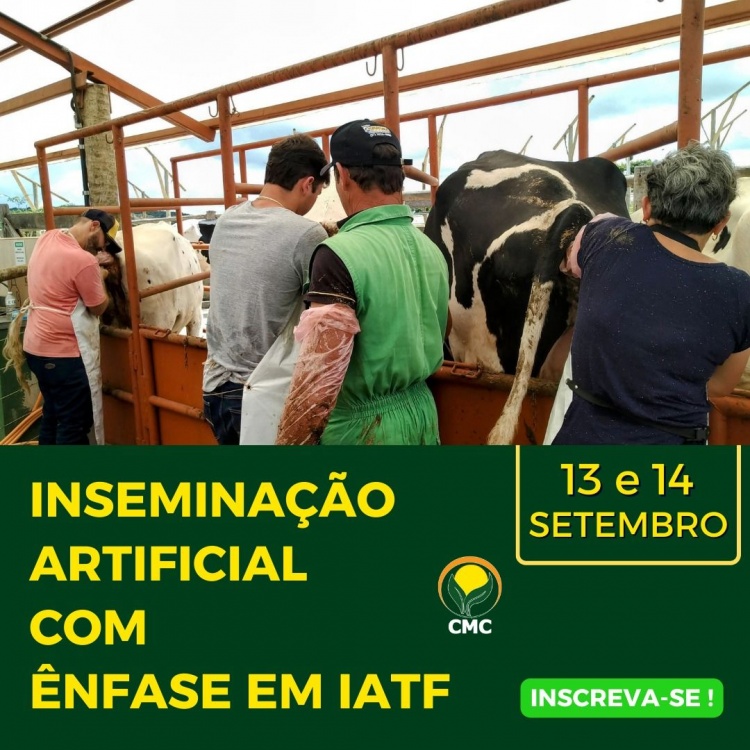 INSEMINAÇÃO ARTIFICIAL EM BOVINOS COM ÊNFASE EM IATF