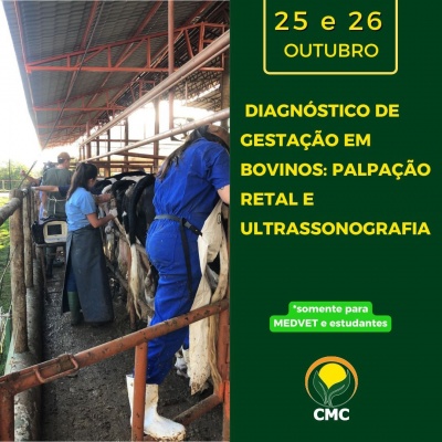 Curso presencial de Diagnóstico de gestação em bovinos / Palpação retal e ultrassonografia