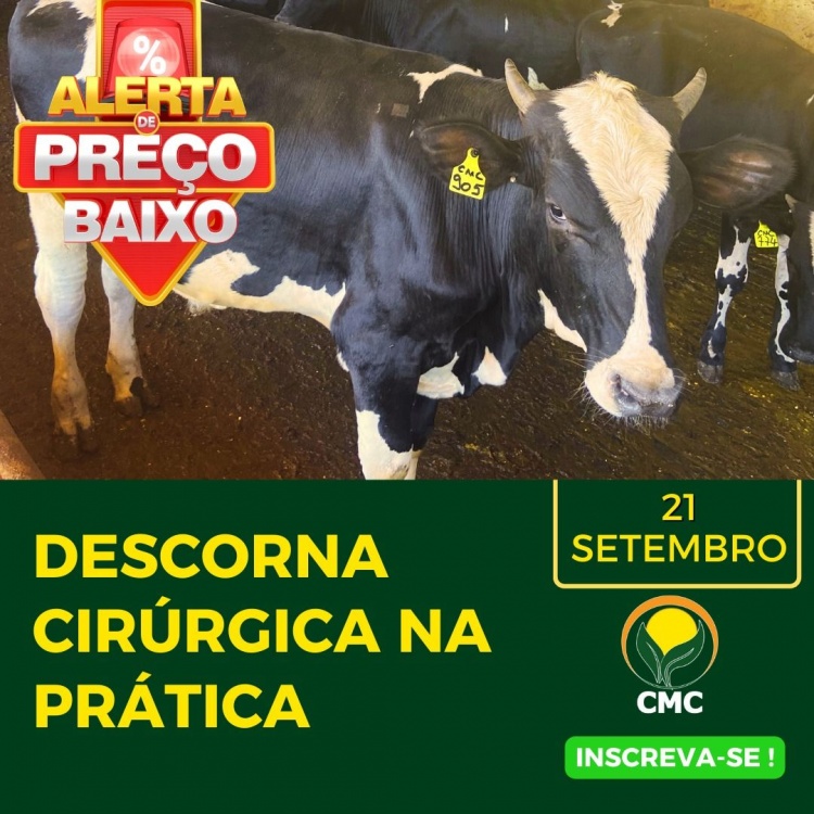 Curso presencial de descorna cirúrgica em bovinos