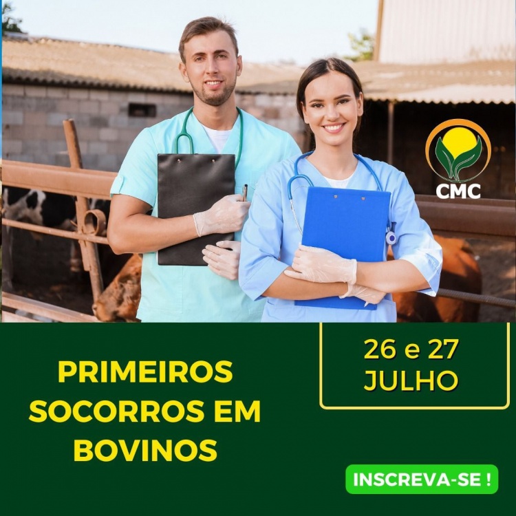 Primeiros socorros em bovinos